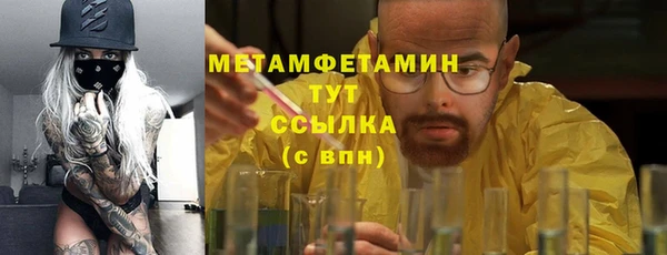 PSILOCYBIN Козловка