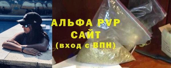 прущие грибы Кинешма