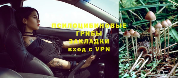 прущие грибы Кинешма