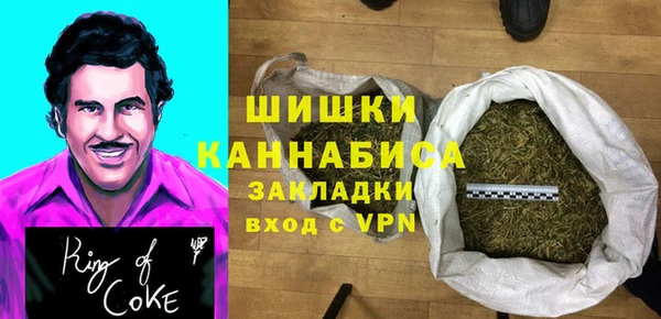 PSILOCYBIN Козловка