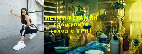 прущие грибы Кинешма