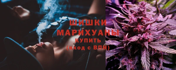 PSILOCYBIN Козловка